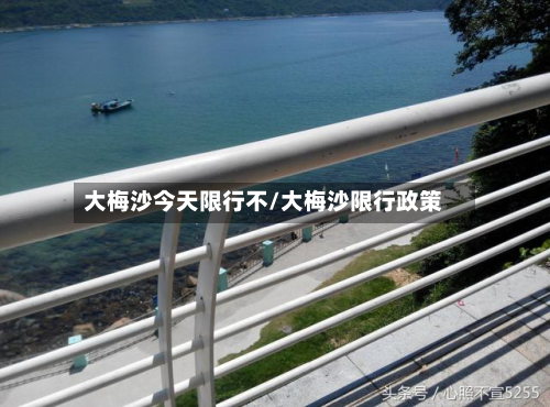 大梅沙今天限行不/大梅沙限行政策-第2张图片