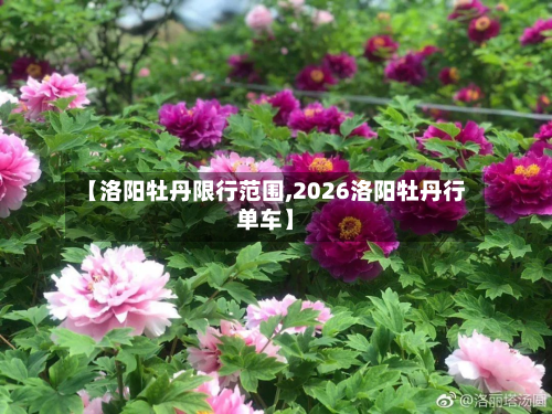 【洛阳牡丹限行范围,2026洛阳牡丹行单车】
