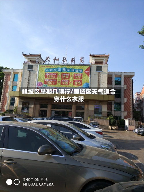 鲤城区星期几限行/鲤城区天气适合穿什么衣服