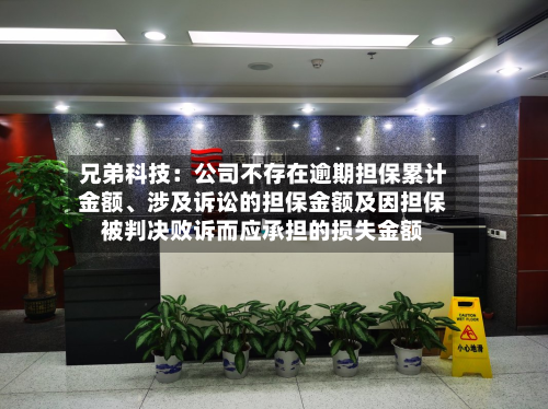 兄弟科技：公司不存在逾期担保累计金额、涉及诉讼的担保金额及因担保被判决败诉而应承担的损失金额-第3张图片