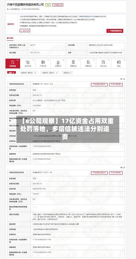 【e公司观察】17亿资金占用双重处罚落地，多层信披违法分别追责-第2张图片