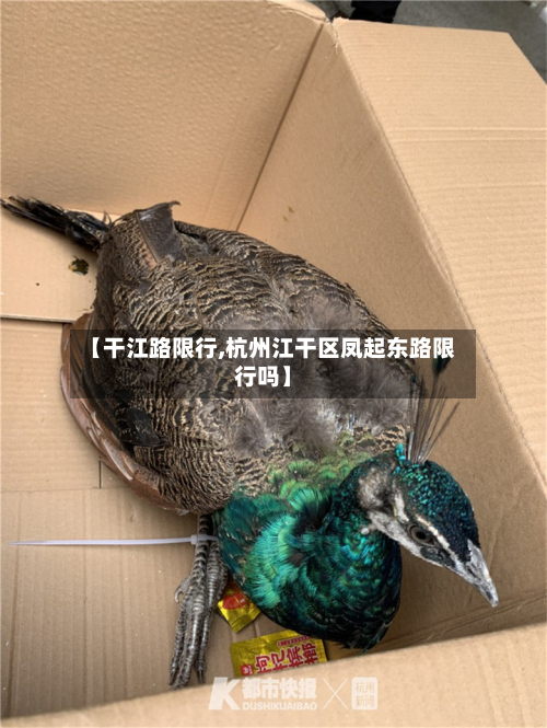 【干江路限行,杭州江干区凤起东路限行吗】