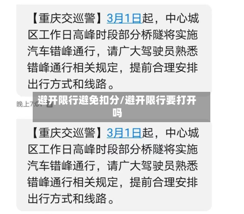 避开限行避免扣分/避开限行要打开吗-第3张图片