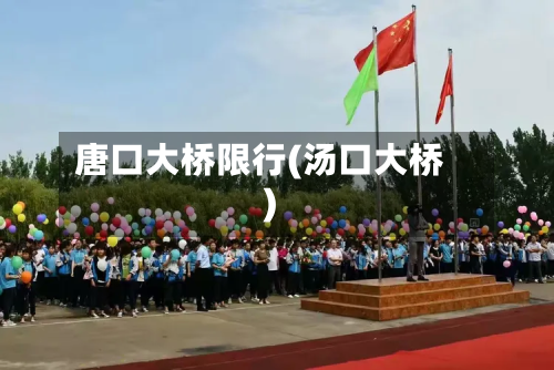 唐口大桥限行(汤口大桥)-第2张图片
