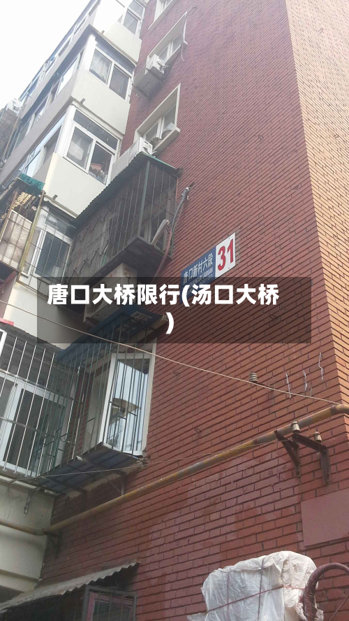 唐口大桥限行(汤口大桥)
