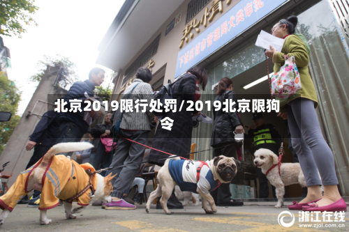北京2019限行处罚/2019北京限狗令