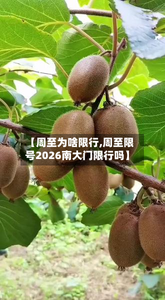 【周至为啥限行,周至限号2026南大门限行吗】-第2张图片