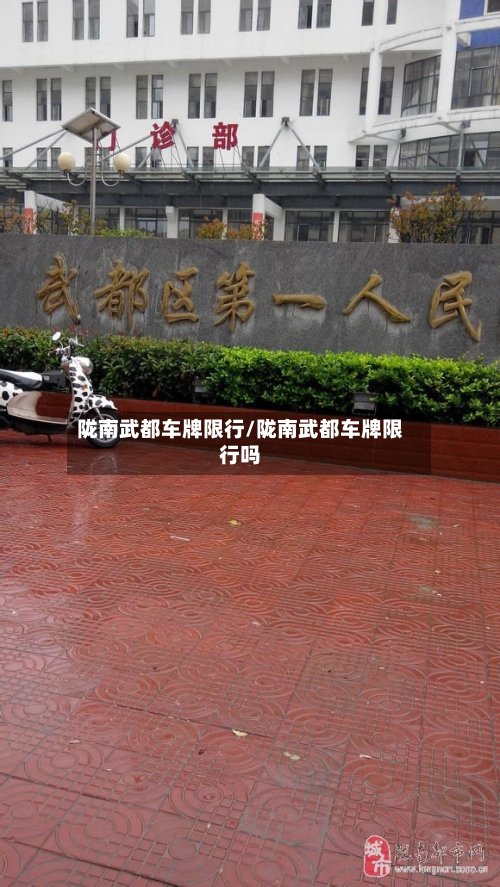陇南武都车牌限行/陇南武都车牌限行吗-第2张图片