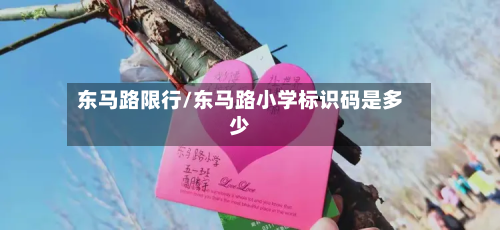 东马路限行/东马路小学标识码是多少