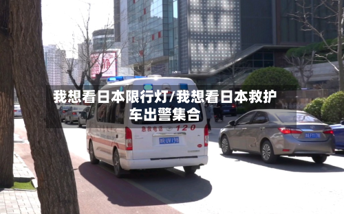 我想看日本限行灯/我想看日本救护车出警集合
