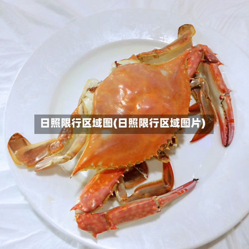 日照限行区域图(日照限行区域图片)