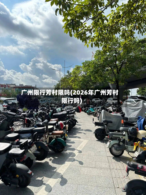 广州限行芳村限吗(2026年广州芳村限行吗)