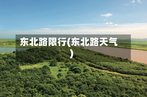 东北路限行(东北路天气)-第2张图片