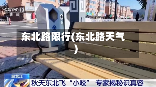 东北路限行(东北路天气)-第3张图片