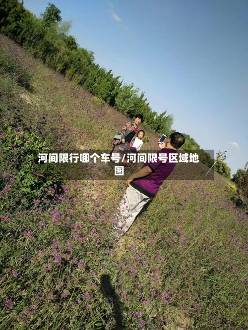 河间限行哪个车号/河间限号区域地图-第2张图片
