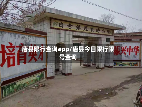 唐县限行查询app/唐县今日限行限号查询-第2张图片
