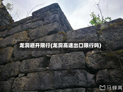 龙洞避开限行(龙洞高速出口限行吗)-第3张图片