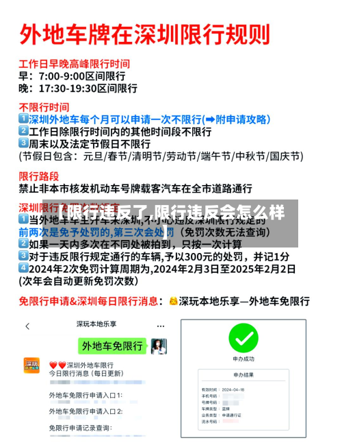 【限行违反了,限行违反会怎么样】