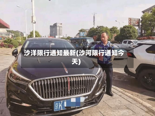 沙洋限行通知最新(沙河限行通知今天)-第3张图片