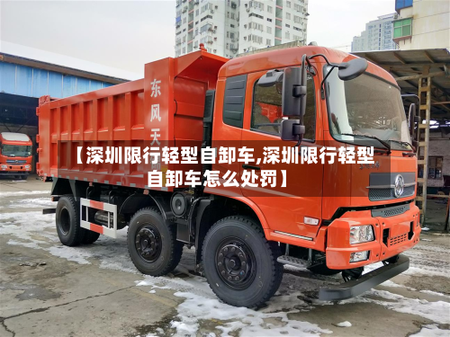 【深圳限行轻型自卸车,深圳限行轻型自卸车怎么处罚】