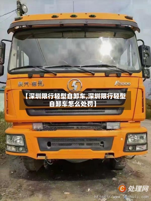 【深圳限行轻型自卸车,深圳限行轻型自卸车怎么处罚】-第2张图片