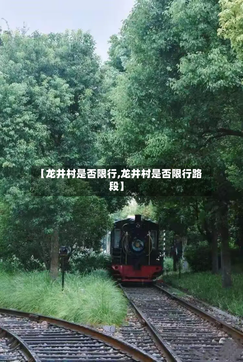 【龙井村是否限行,龙井村是否限行路段】