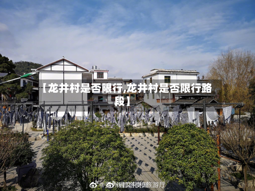 【龙井村是否限行,龙井村是否限行路段】-第3张图片