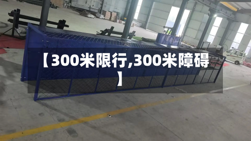 【300米限行,300米障碍】-第3张图片