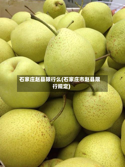 石家庄赵县限行么(石家庄市赵县限行规定)
