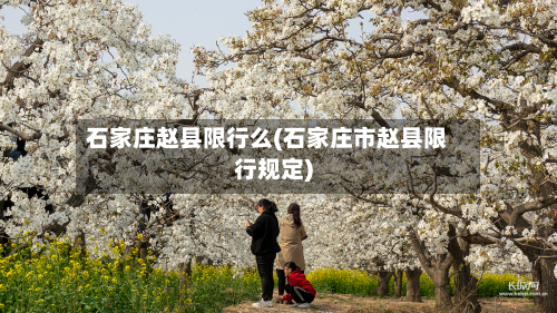 石家庄赵县限行么(石家庄市赵县限行规定)-第2张图片