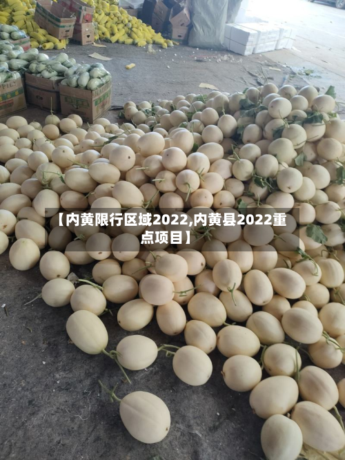 【内黄限行区域2022,内黄县2022重点项目】-第3张图片