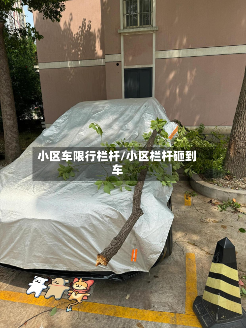 小区车限行栏杆/小区栏杆砸到车-第3张图片