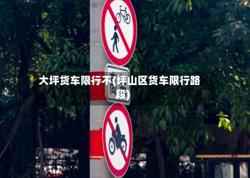 大坪货车限行不(坪山区货车限行路段)
