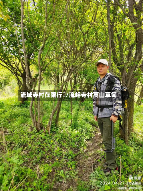 流域寺村在限行嚒/流峪寺村高山草甸-第2张图片
