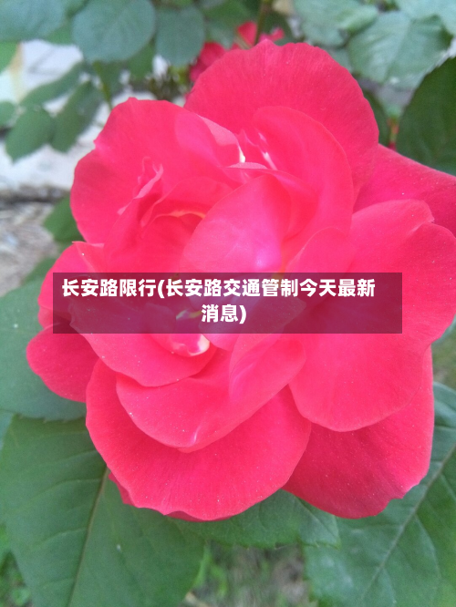 长安路限行(长安路交通管制今天最新消息)-第2张图片