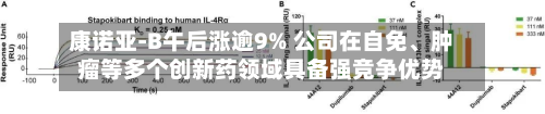 康诺亚-B午后涨逾9% 公司在自免	、肿瘤等多个创新药领域具备强竞争优势-第1张图片