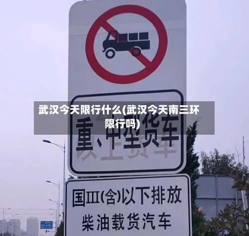 武汉今天限行什么(武汉今天南三环限行吗)-第2张图片