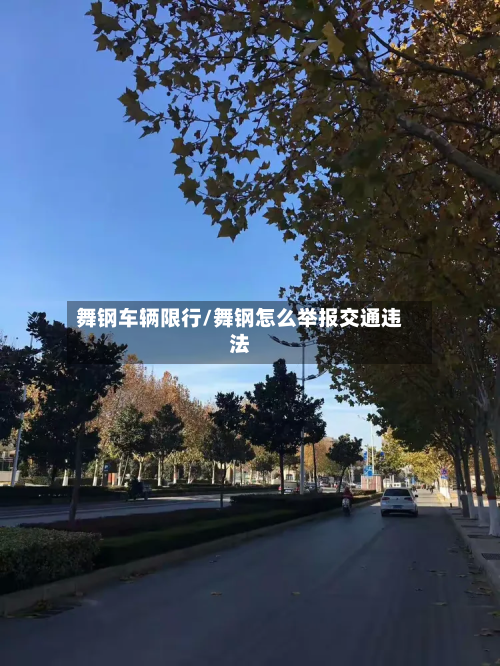 舞钢车辆限行/舞钢怎么举报交通违法-第2张图片