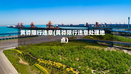 黄骅限行违章(黄骅限行违章处理地点)-第3张图片