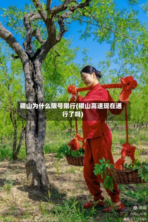 稷山为什么限号限行(稷山高速现在通行了吗)