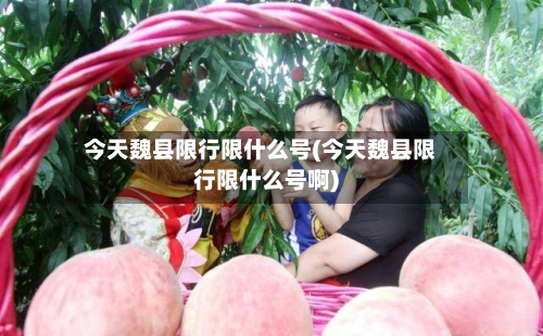 今天魏县限行限什么号(今天魏县限行限什么号啊)