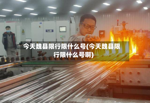 今天魏县限行限什么号(今天魏县限行限什么号啊)-第2张图片