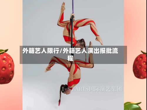 外籍艺人限行/外籍艺人演出报批流程