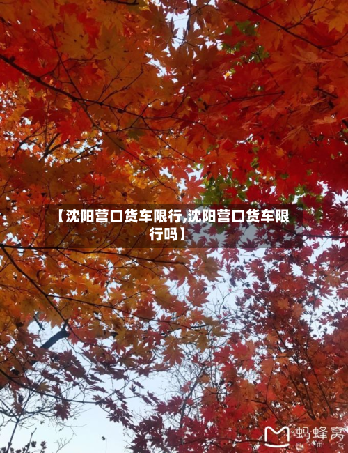 【沈阳营口货车限行,沈阳营口货车限行吗】