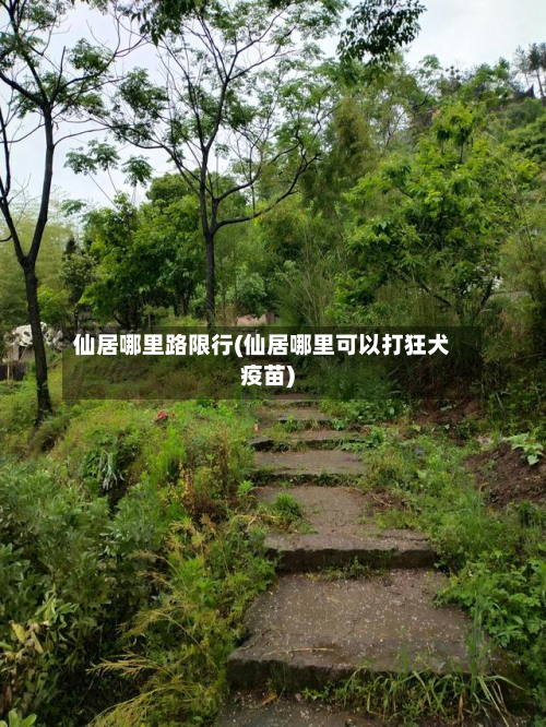 仙居哪里路限行(仙居哪里可以打狂犬疫苗)