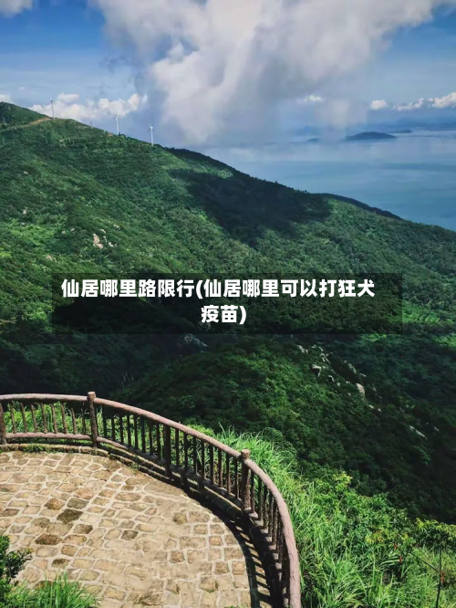仙居哪里路限行(仙居哪里可以打狂犬疫苗)-第3张图片