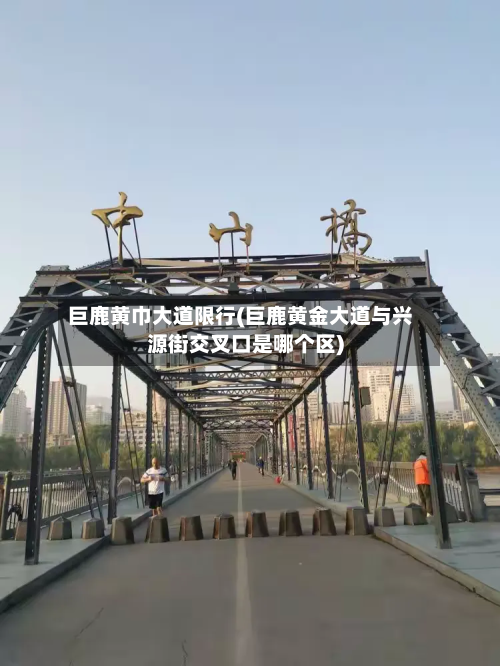 巨鹿黄巾大道限行(巨鹿黄金大道与兴源街交叉口是哪个区)