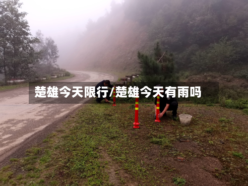 楚雄今天限行/楚雄今天有雨吗