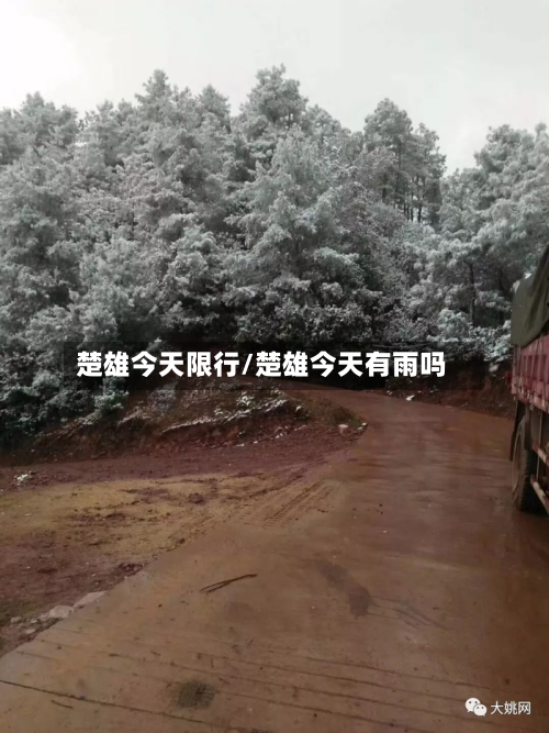 楚雄今天限行/楚雄今天有雨吗-第2张图片