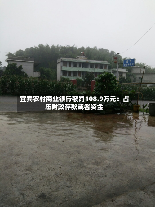 宜宾农村商业银行被罚108.9万元：占压财政存款或者资金